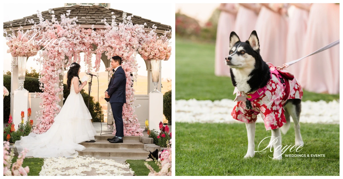 Bride and groom exchanging vows at Pacific Palms Resort with flower girl dog in cherry blossom collar, planned by bilingual Chinese wedding planner LA.