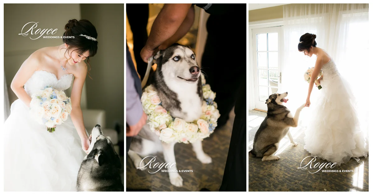 Outdoor Orange County Wedding Venue - The Ritz-Carlton, Laguna Niguel